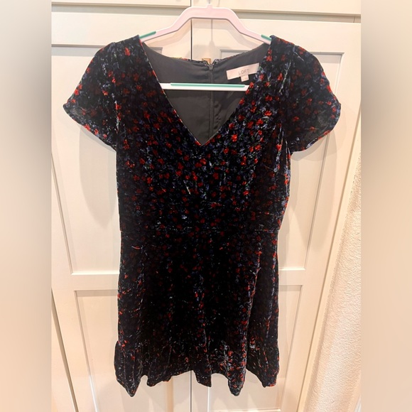 Loft Velvet Dress - Picture 6 of 7